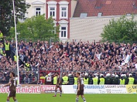 Pauli vs HSV2 05-06 033